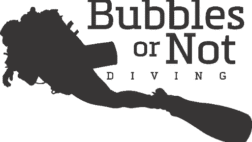 Bubbles or Not Bubbles or Not
