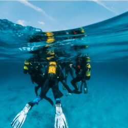 PADI Instructor