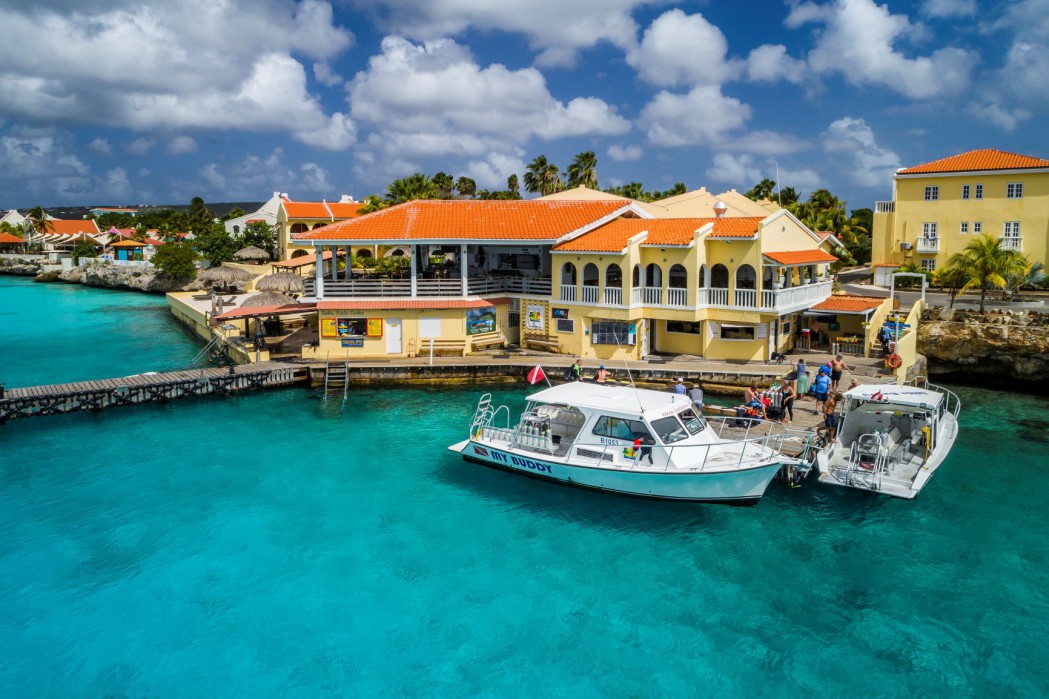 Bonaire_Buddy1