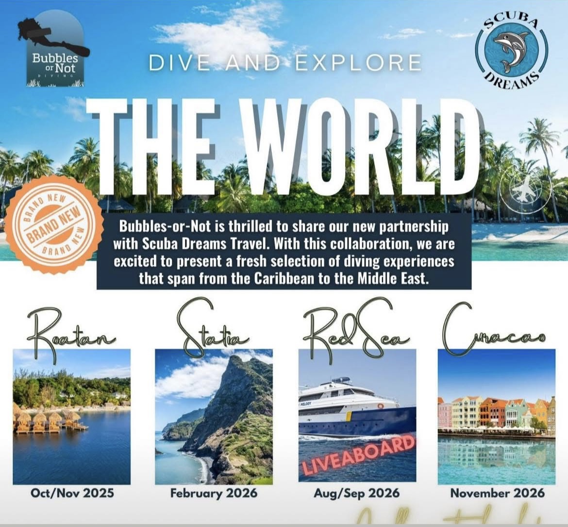 Dive the World Dive the World
