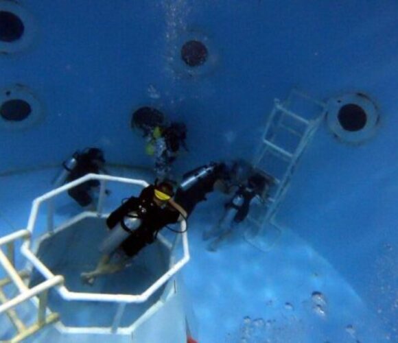 US_Space_Dive-1024x1024-600x400